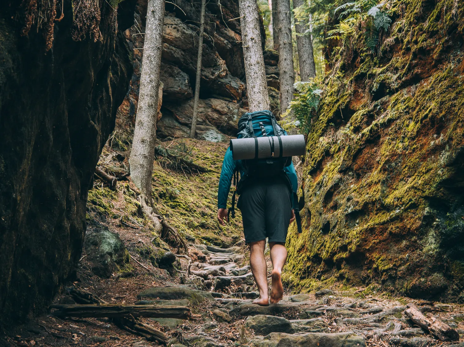 Sunset over mountain landscape